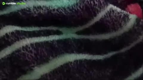 sure I'll talk about Cruiser