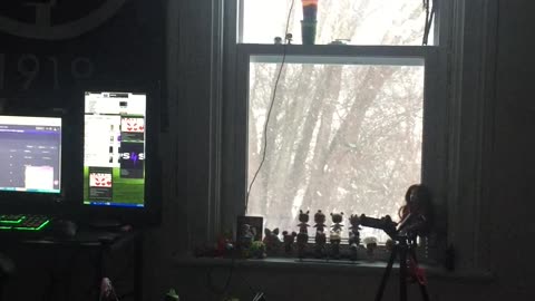 POND5 HAPPY NEW YEARS 2025