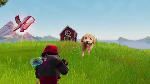 Surprising My Dog With Her Own Fortnite Skin!