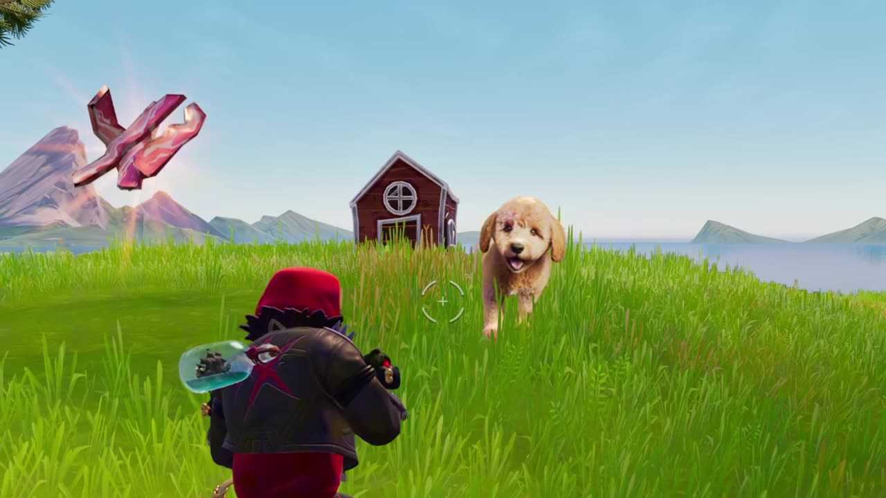 Surprising My Dog With Her Own Fortnite Skin!