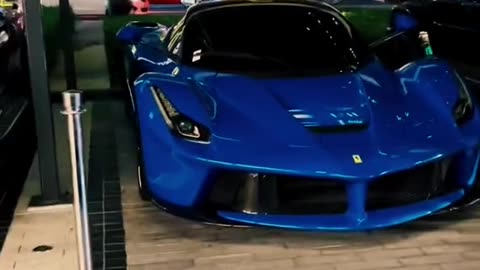 🚀💨 You Won't Believe This Exotic Car's Speed! | LuxurySportsCars