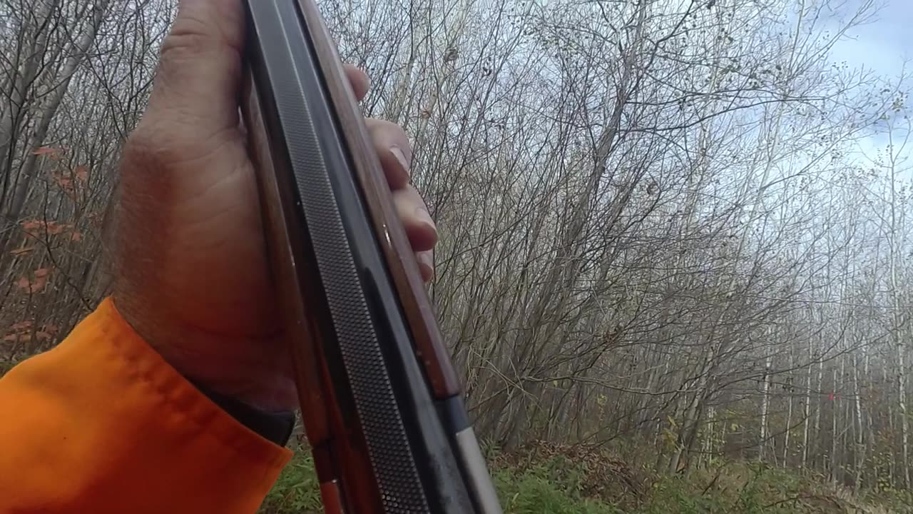 Wisconsin 2021 Grouse Hunting with Banjo Episode 3