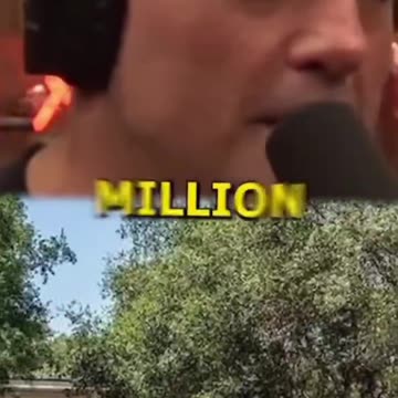 Elon Musk just said California Governor Gavin Newsom