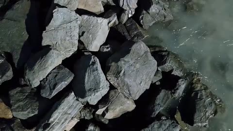 Daily Horoscope | Cancer 🌟