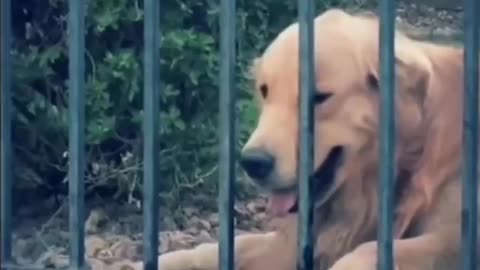 Never Give Up