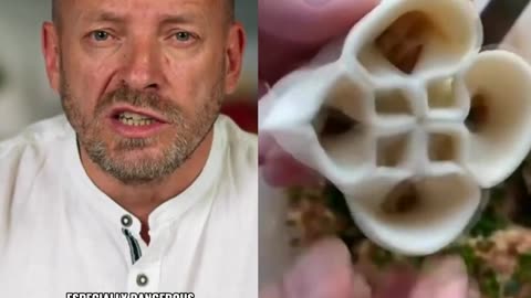 When Dog Hunters Change Prey