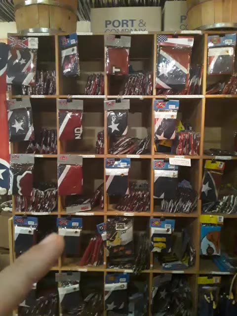 Rebel, rebel till I die