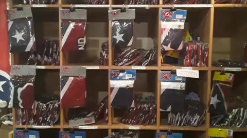 Rebel, rebel till I die