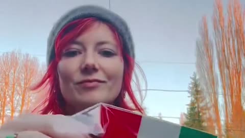 Liberals put Mexican flags on their cars so that ICE agents will stop them and waste their time