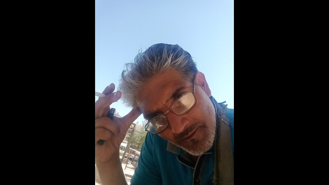 زیبایی‌های گربه