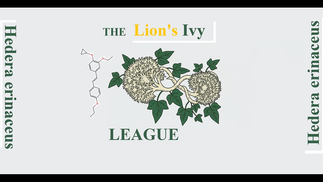 League Ivy and Lion's Mane(Hericium erinaceus) Лига плюща и гривы.