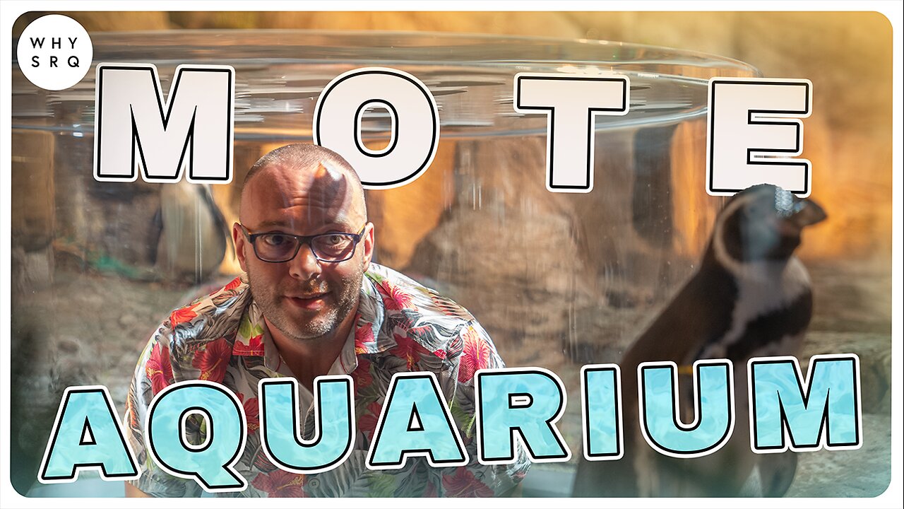 The Story Behind the New Mote Aquarium | Exclusive Interview with Mote Leadership