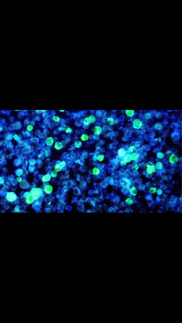 The Tiny Molecule That Powers All Life!