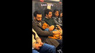 Love All Life Always #290 - Dogs Loving Their Owners. Yes, Dogs Are Man's (And Woman's) Best Friend!