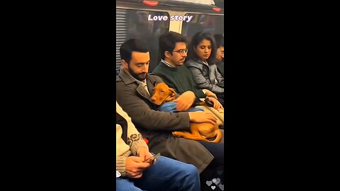 Love All Life Always #290 - Dogs Loving Their Owners. Yes, Dogs Are Man's (And Woman's) Best Friend!