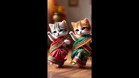 cat dance বেড়ানোর মিত্র