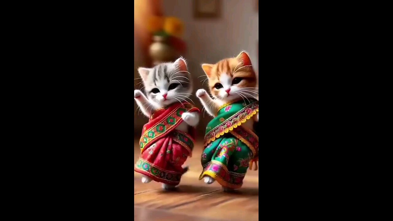 cat dance বেড়ানোর মিত্র