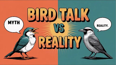 Bird Talk Myth vs Reality #birdtalk #parrot #birdfacts #animalintelligence