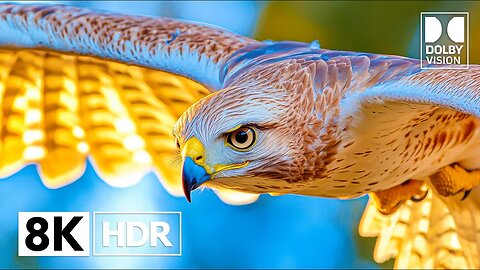 World's Breathtaking 8K HDR 120FPS | Dolby Vision 4K/8K Video