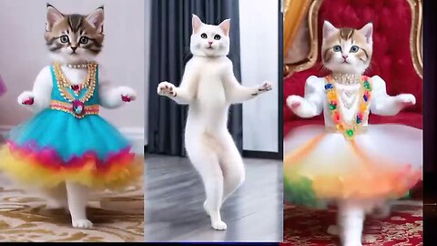 Cat videos funny dance 💃😃Videos for laugh