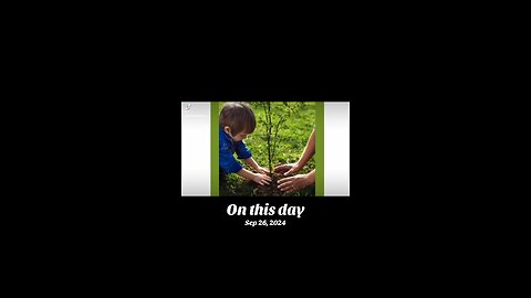 Planting trees!