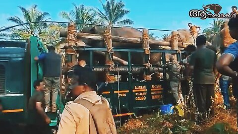 കൂട്ടുകാരനെ രക്ഷിക്കാൻ പാടുപെട്ട് ഗണപതി _ wild elephant captured in kerala_Athirapally elephant news