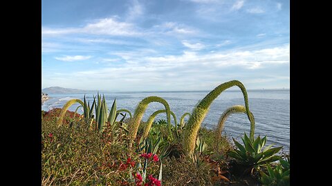 Ventura to Santa Barbara: A 34-Mile Walk Over Two Days"