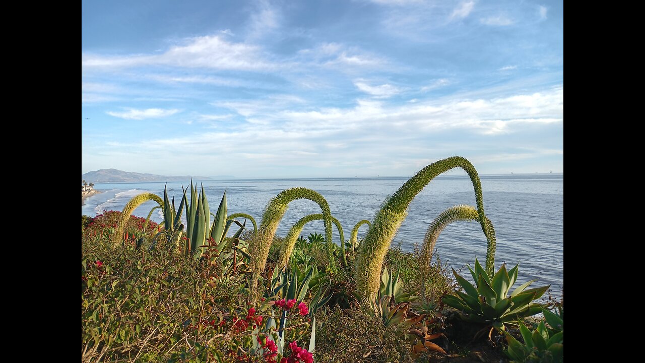 Ventura to Santa Barbara: A 34-Mile Walk Over Two Days"