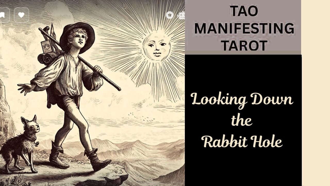 LOOKING DOWN THE RABBIT HOLE
