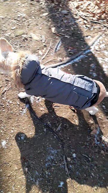 20260113. God made the world.