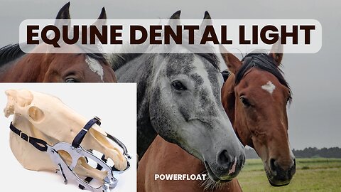 How to Find a Calgary Equine Dental Light