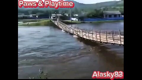 CAR TRYING TO CROSS A RIVER OVER A WOODEN BRIDGE WAS A BIG MISTAKE 😱😱😱😱