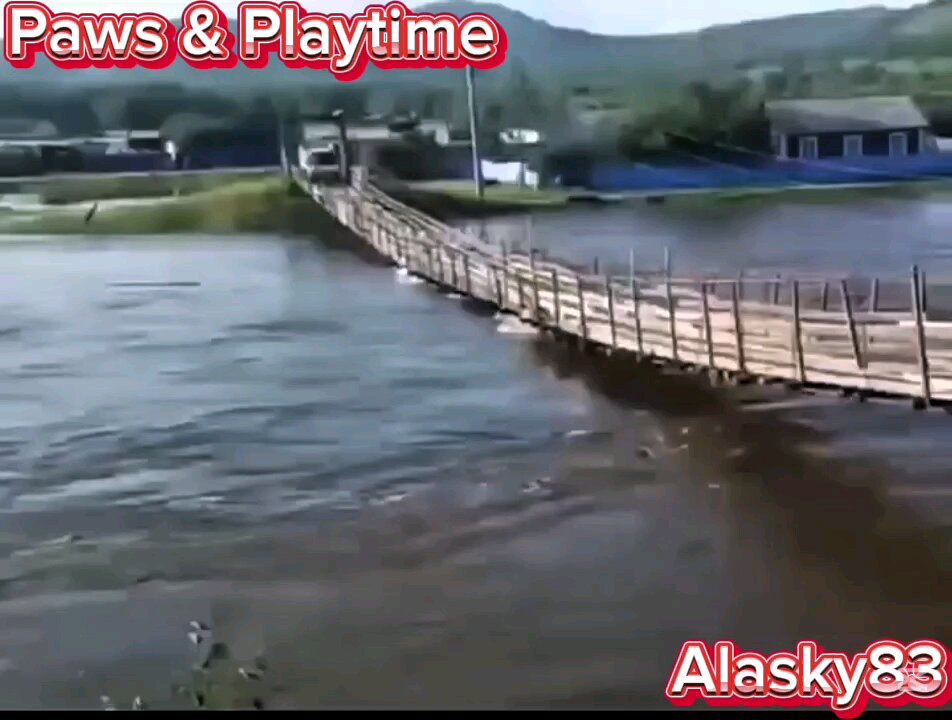 CAR TRYING TO CROSS A RIVER OVER A WOODEN BRIDGE WAS A BIG MISTAKE 😱😱😱😱