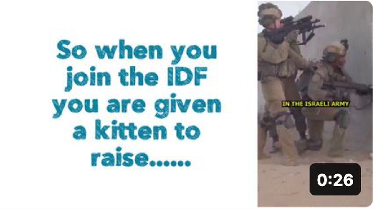 So when you join the IDF you are given a kitten to raise....