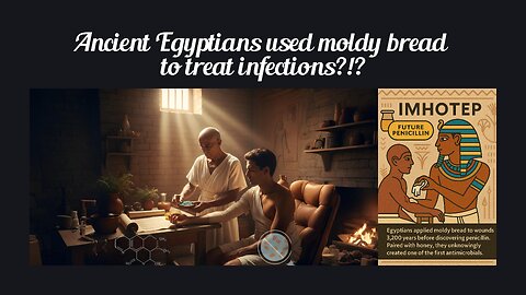 Fun Fact for Dec 6th 2025