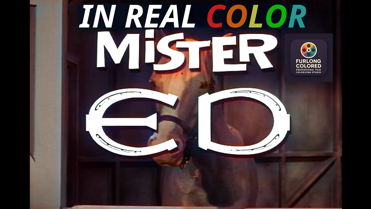 🐴 Mr. Ed (1961) S02E01 – My Son, My Son | In Real Color | Full Episode