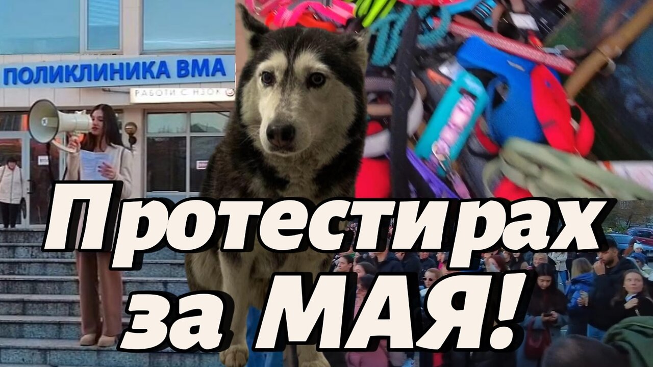 Отивам на Протест пред "ВМА"! Искаме СПРАВЕДЛИВОСТ за МАЯ и ЗАЩИТА на ЖИВОТНИТЕ!
