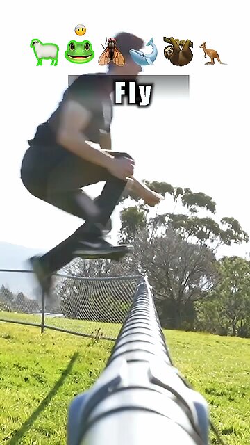 How different animals get over fence