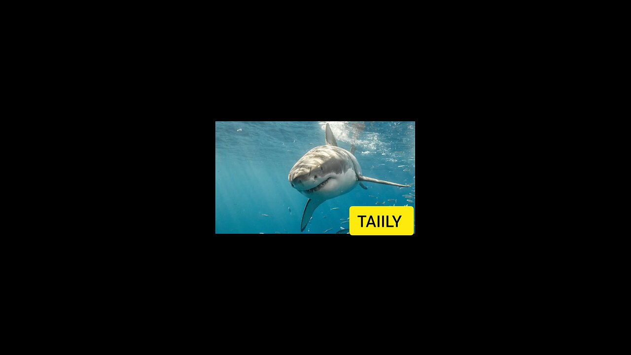 This is about the RULER of the sea