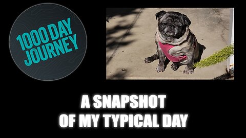 1000 Day Journey 0861 A Snapshot of My Typical Day