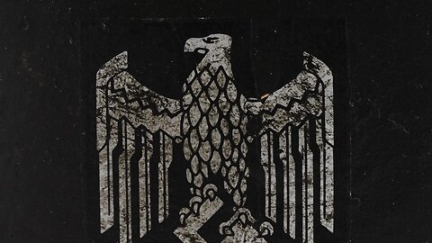 1111 "THE RISE OF THE REICH" - RACIAL PROFILING AND REPRESSION IN THE UNITED STATES