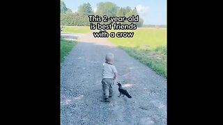 Otto has a crow friend - I want a crow friend too! 😍