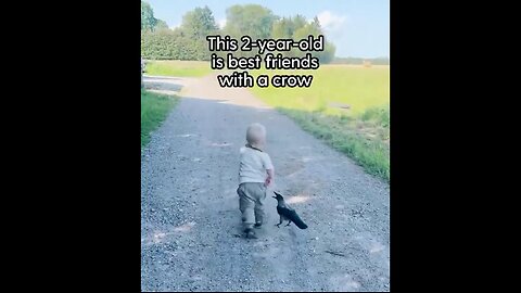 Otto has a crow friend - I want a crow friend too! 😍