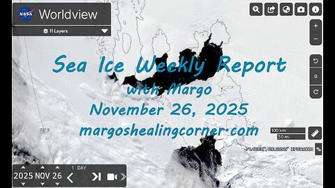 Sea Ice Weekly Report with Margo (Nov. 26, 2025)
