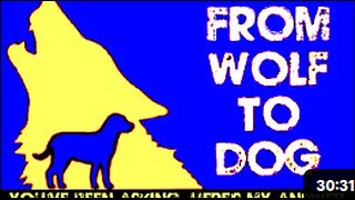 crime in america takes a look at FROMWOLFTODOG - BLACK V.O.I.D.