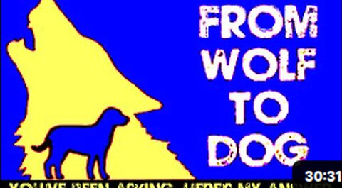 crime in america takes a look at FROMWOLFTODOG - BLACK V.O.I.D.