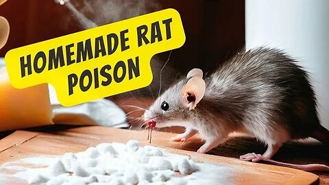 Homemade Rat Poison: Get Rid of Mice in One Hour with Baking Soda and Cheese!.