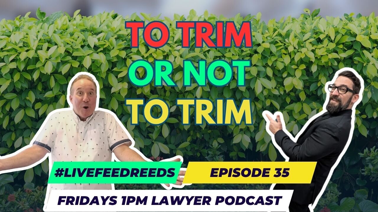 #LiveFeedReeds - Lawyer Podcast Ep.35 - To Trim or NOT to Trim