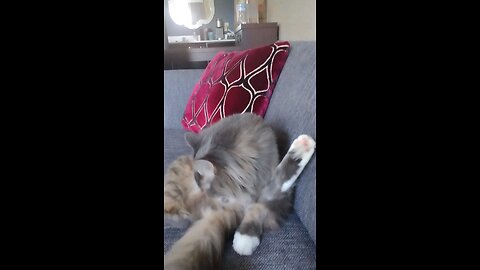 Mummy, why is it noisy outside? I'm on vacation!