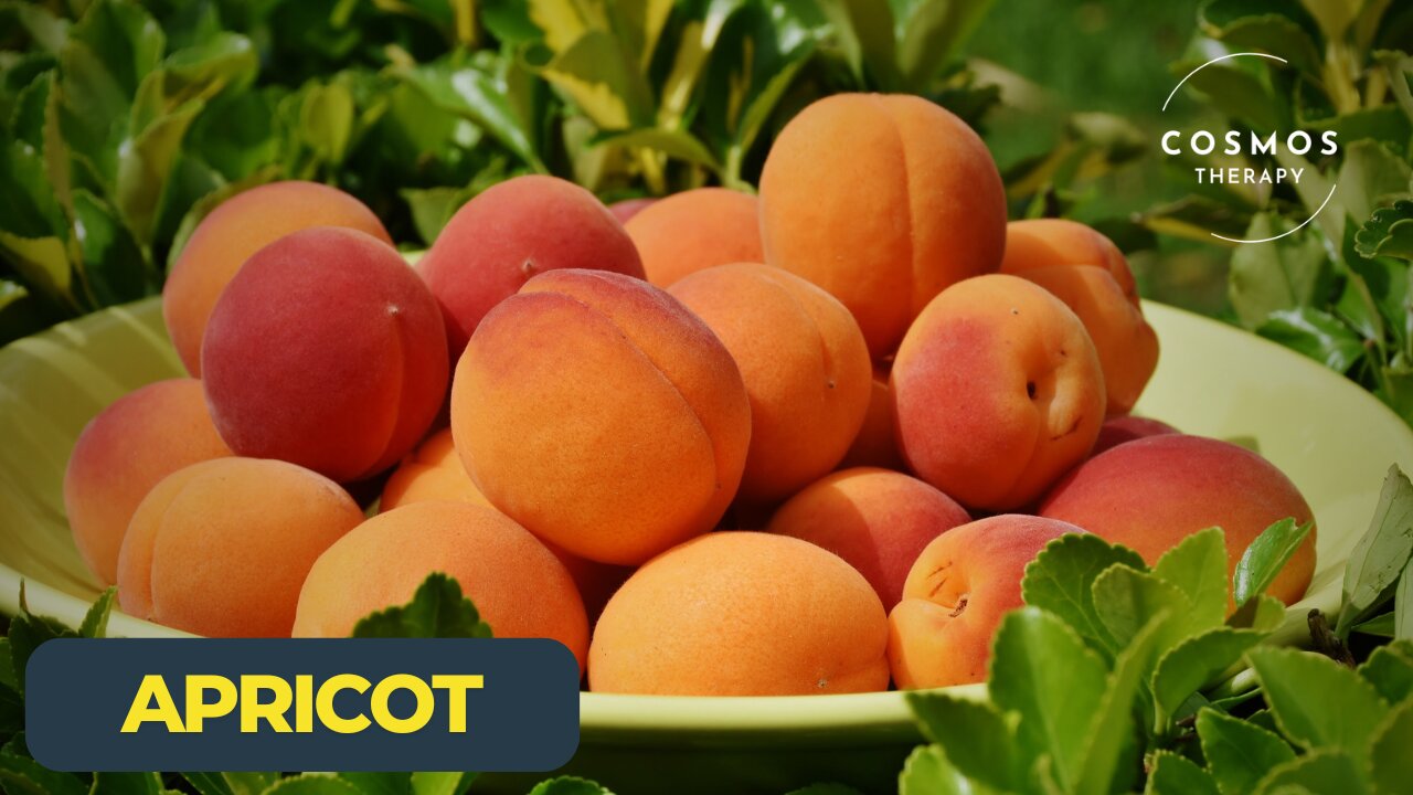 Apricot | A Sweet Taste of History | A Short Documentary